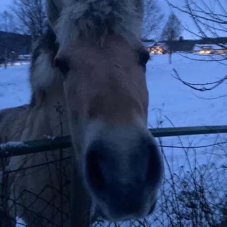 فندق مبيت وإفطار Line Pa Hauane1