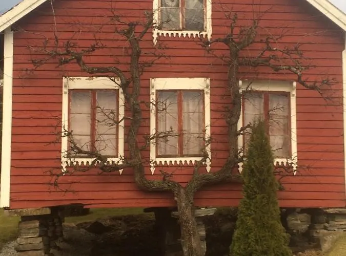 Line På Hauane1 4*