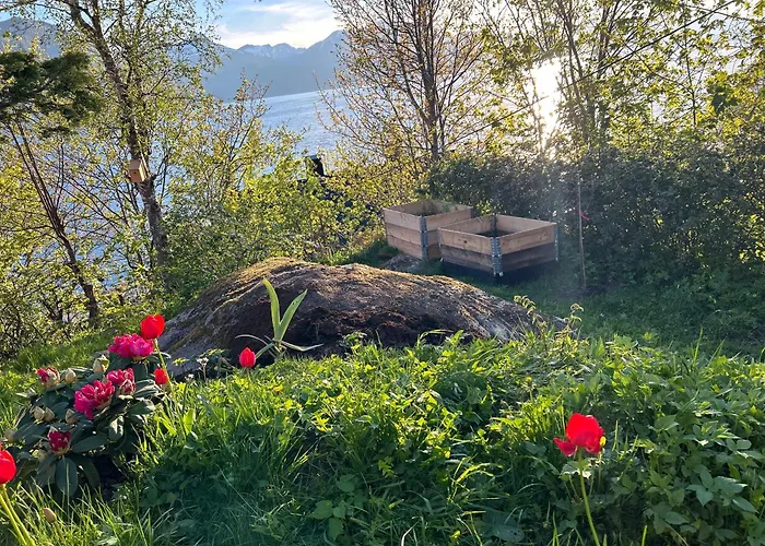 Couette-café Line Pa Hauane1